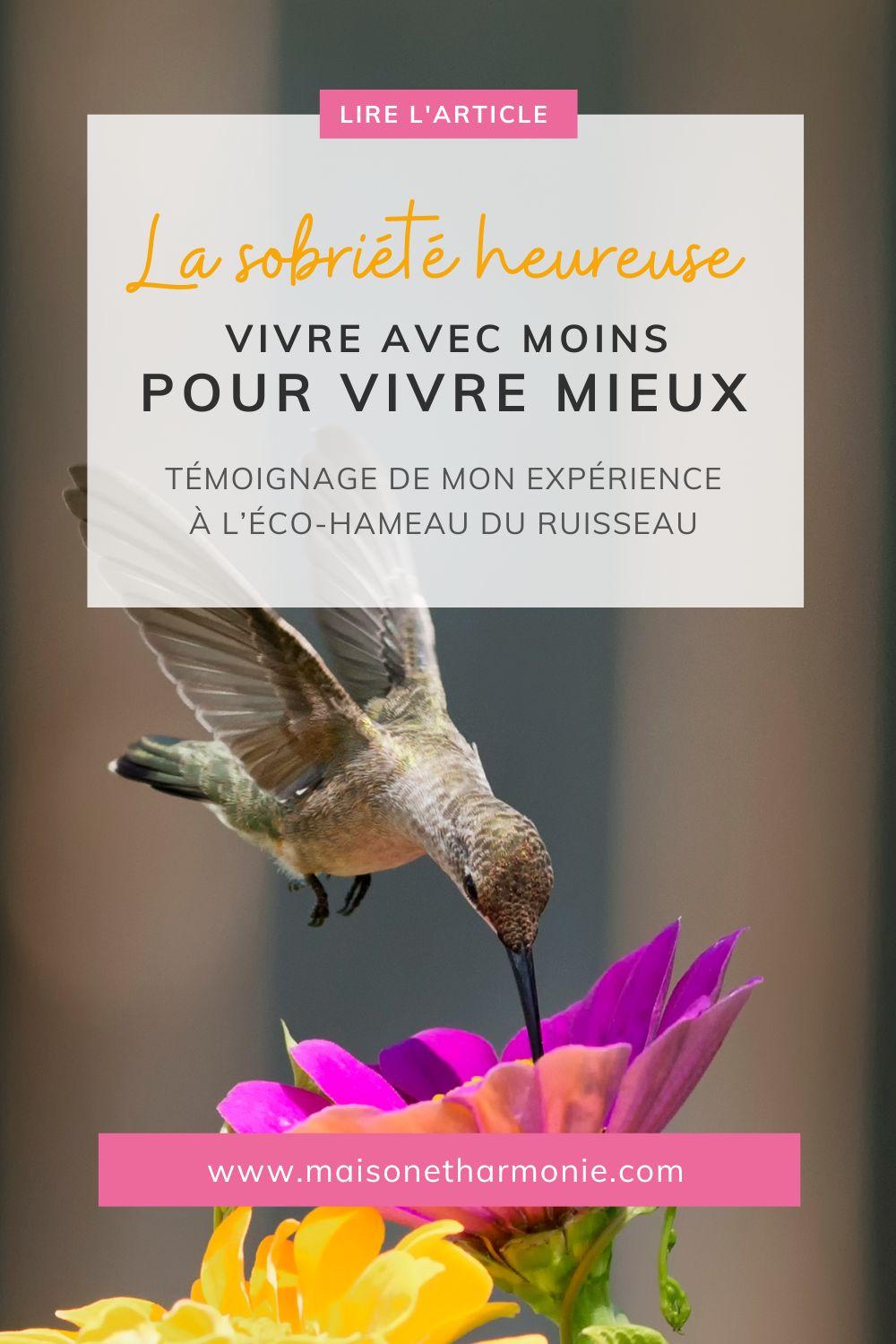 la-sobriete-heureuse-vivre-avec-moins-pour-vivre-mieux
