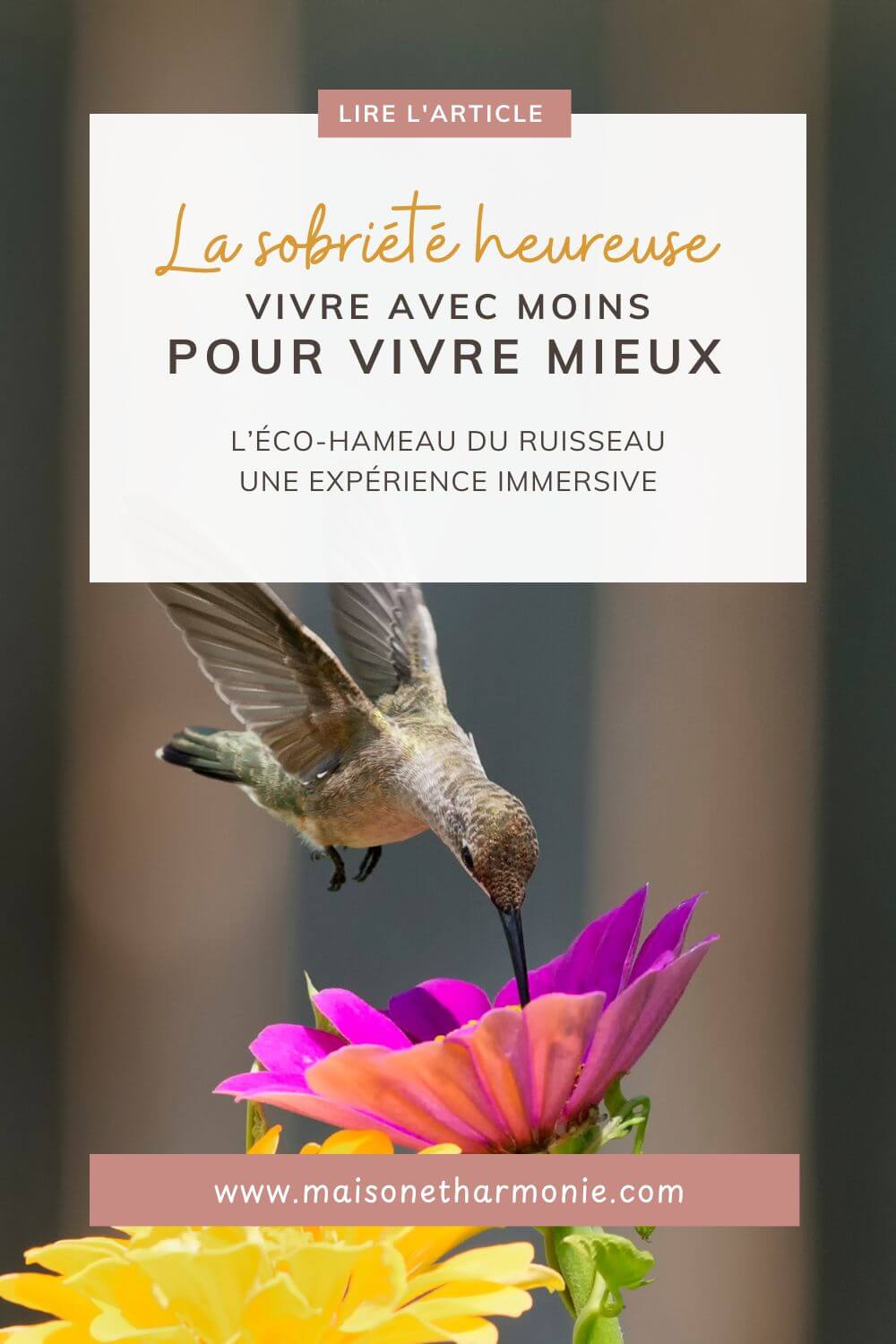 vivre-avec-moins-pour-vivre-mieux-la-sobriete-heureuse