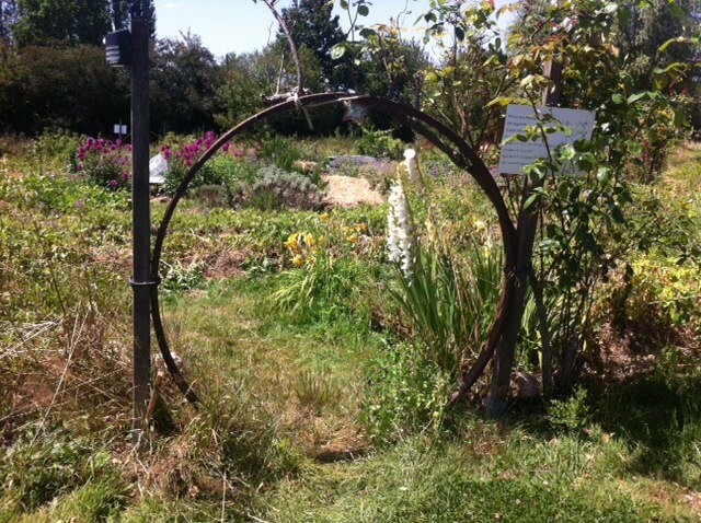 le-jardin-mandala